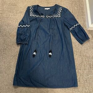 Denim Dress in Petite Small